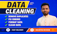 clean, merge, organize, and format excel and CSV files