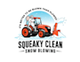 do make an modern custom snow blowing logo