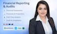 do financial reporting, income statements, audits,  cashflow
