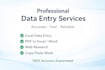 do accurate data entry, excel, pdf conversion, mis report,