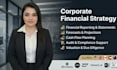 provide corporate finance strategy, audit compliance advise
