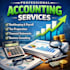 provide professional accounting services