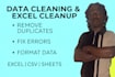 clean, organize, and format your excel or CSV data for analysis