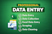 do data entry, data collection, web scraping exce cleaning
