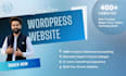 design and develop a professional wordpress website