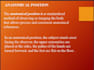 create presentation slides ,business slides