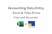 accounting data entry using excel and tally