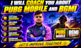 coach you about pubg mobile and bgmi as a professional coach