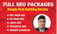 complete full SEO package with search engine optimization