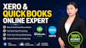 do qb online and xero bookkeeping cleanup, catch up and set up