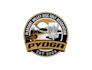 create high quality and beautiful disc golf logo design