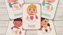 create montessori flashcards and learning cards for kids