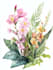 illustrate best botanical illustration