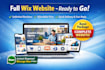 design a professional wix website