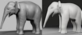 create realistic cgi animal and creature models for vfx and tvcs