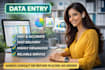 do accurate data entry in microsoft excel