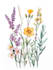 best botanical illustration art