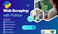 do professional python web scraping, data extraction and automation