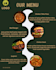 design a professional and modern restaurant menu