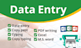 professional data entry in excel