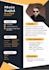 design the professional cv and resume