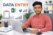 do excel data entry formatting and data cleaning professionally