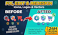 redesign, recolor, fix, or modify your icon set and logo