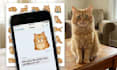 create custom funny pet memes for your dog cat or pet