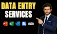 insert and enter data using excel