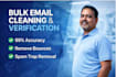 professionally clean, verify, and validate your bulk email list
