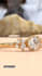 dynamic 3d cgi animation 3d product animation cgi photography video ads vfx ads