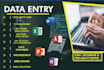 do fastest data entry in low price