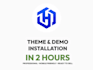 theme and demo installation in 24 hours