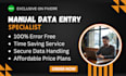 do data entry and clean your excel or googlesheets for accurate reports