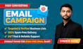 send 100,000 bulk email blast, email campaign and email marketing