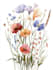 create flat landscape illustration of nature