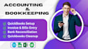 do cleanups, setups, bookkeeping in quickbooks and xero