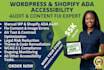 perform a manual ada accessibility audit and fix content errors for websites