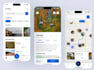 build robust tourist helper app, tourist helper website