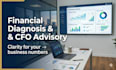 provide financial diagnosis and profitability analysis for your business