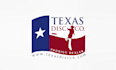 design amazing texas disc company logo