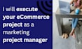 execute your ecommerce project as a project manager