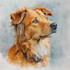 draw watercolor pet portrait