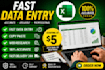 do accurate data entry, copy paste and web research