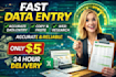 do accurate data entry, copy paste and web research