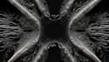 4k 3d abstract animation 3d loop animation 3d motion graphics 3d houdini video