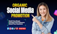 do increase social media followers