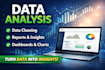 analyze your data and create insights using python excel