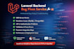 fix laravel applications bugs