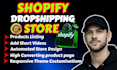 design or develop shopify dropshipping  store, theme redesign, optimize store